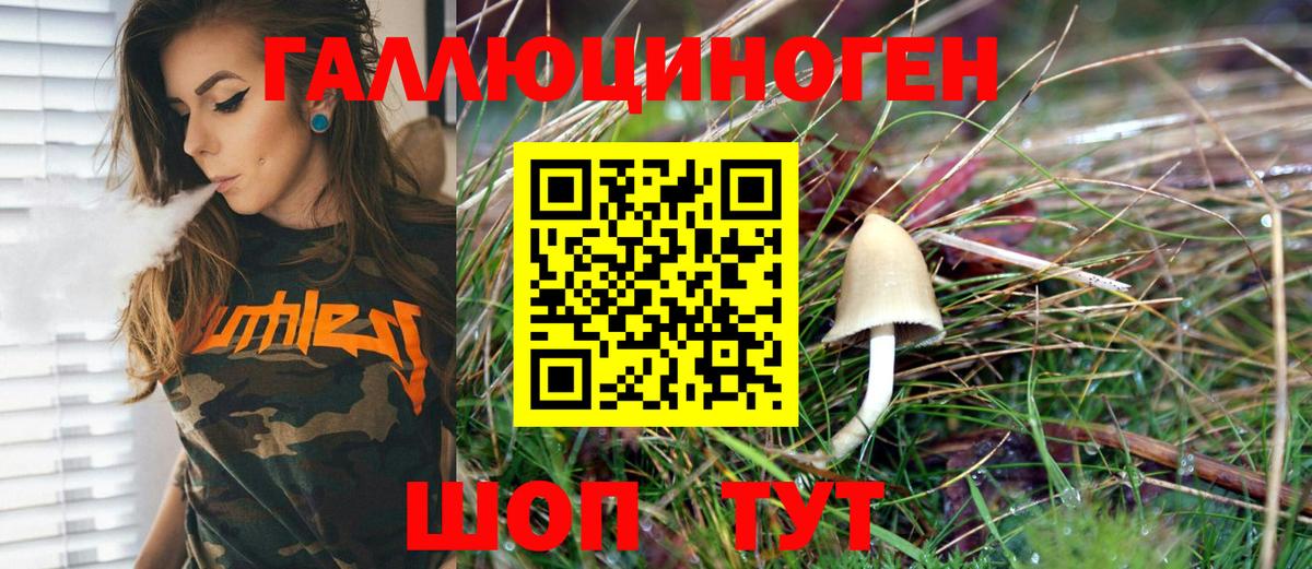 Галлюциногенные грибы GOLDEN TEACHER Амурск