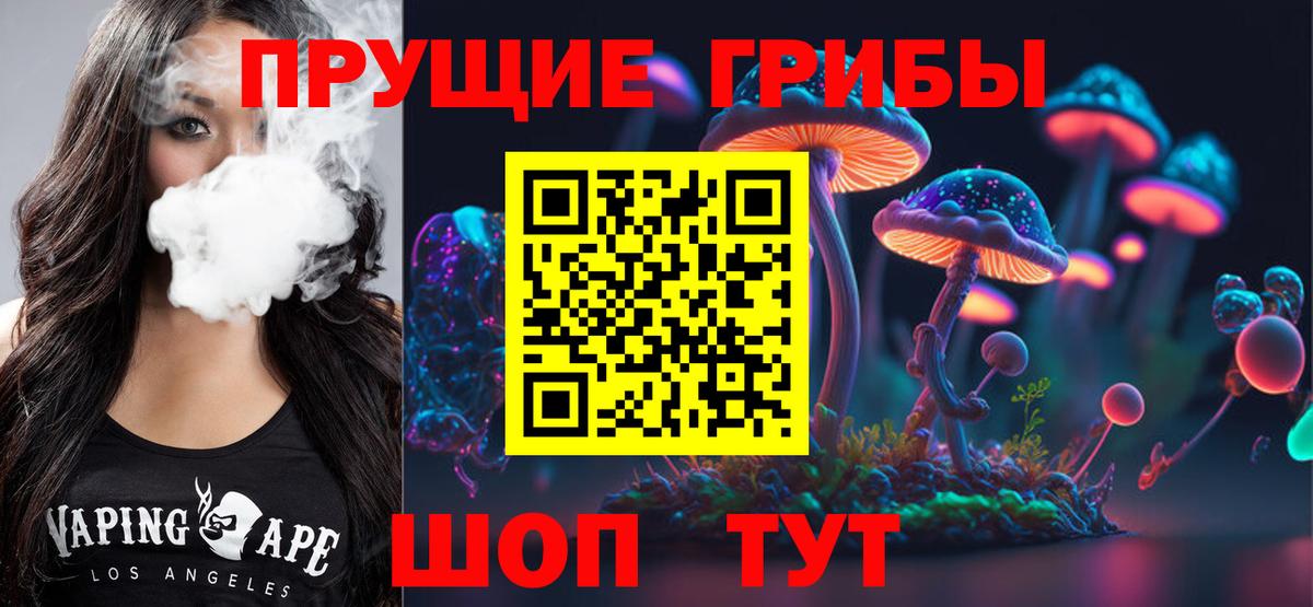 Псилоцибиновые грибы MAGIC MUSHROOMS  Псилоцибиновые грибы MAGIC MUSHROOMS  Вход с VPN  Амурск 