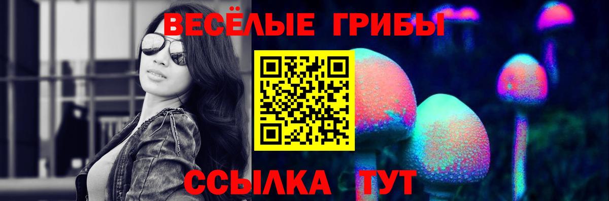 Псилоцибиновые грибы Psilocybine cubensis  Амурск 